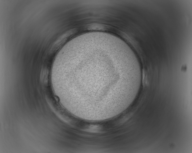 X0000116620157200912312146