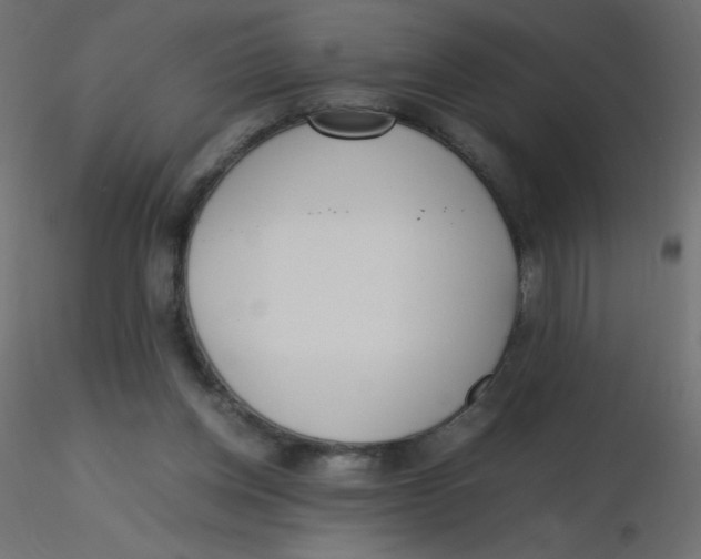 X0000116620158200912312146