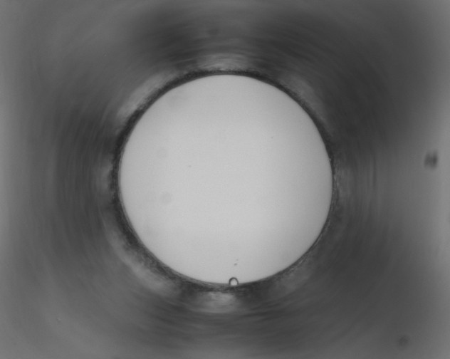 X0000116620159200912312146