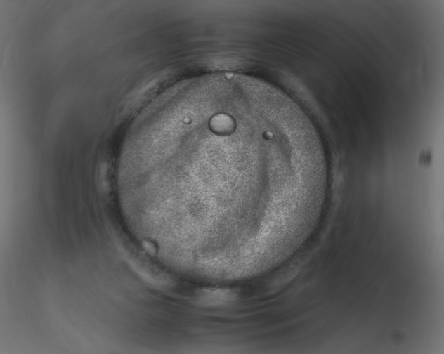 X0000116620161200912312146