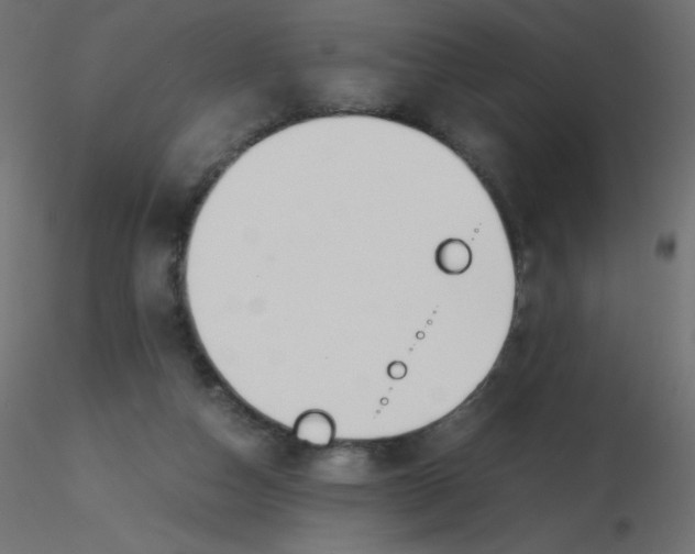 X0000116620162200912312146