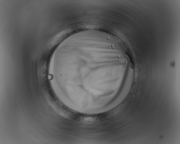 X0000116620163200912312146