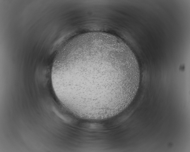 X0000116620165200912312146