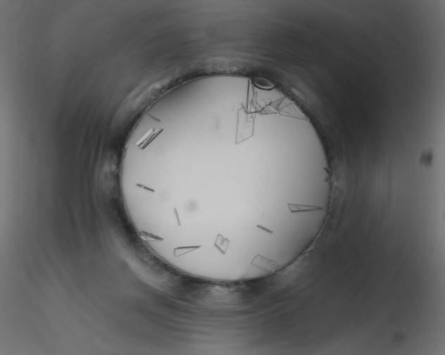 X0000116620166200912312146