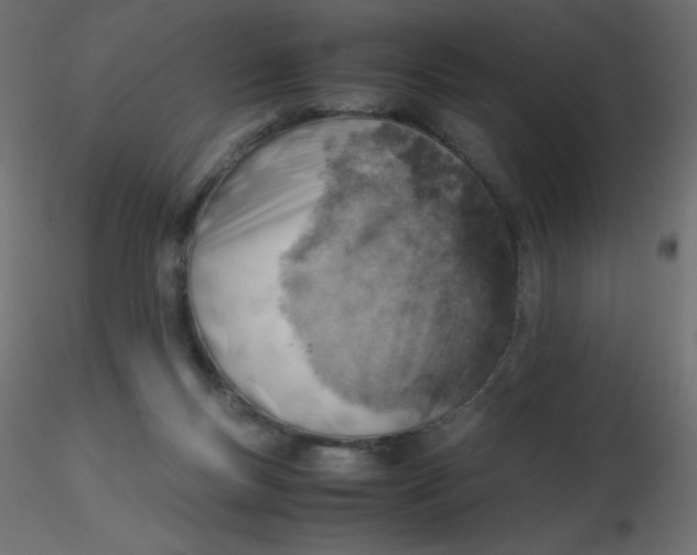 X0000116620167200912312146