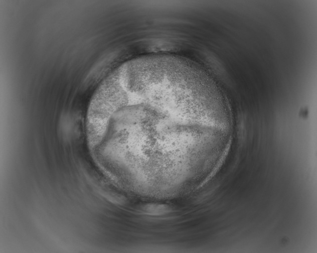 X0000116620169200912312146