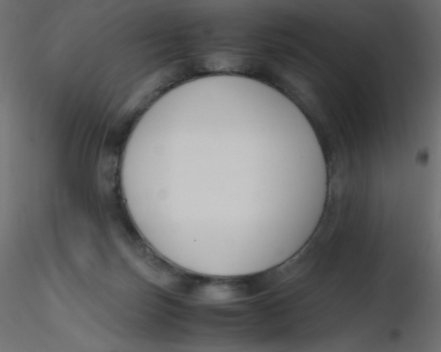 X0000116620171200912312146