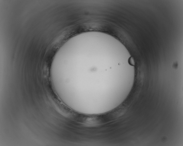 X0000116620173200912312146