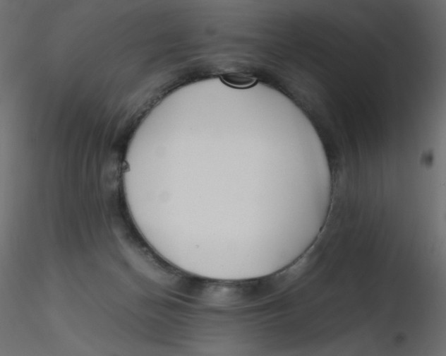 X0000116620174200912312146