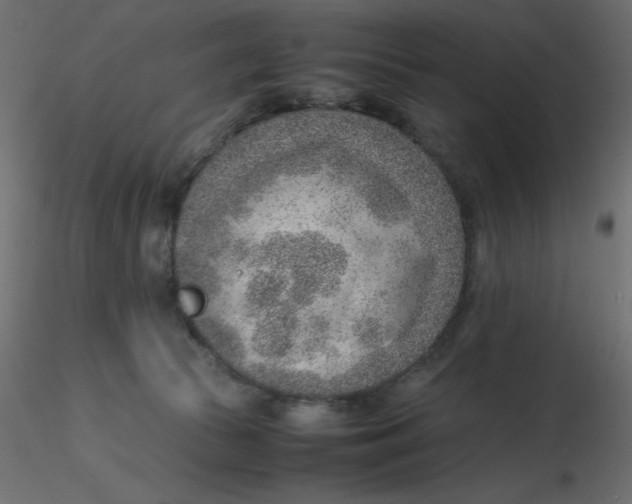 X0000116620177200912312146