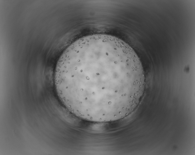 X0000116620178200912312146