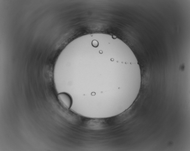 X0000116620179200912312146