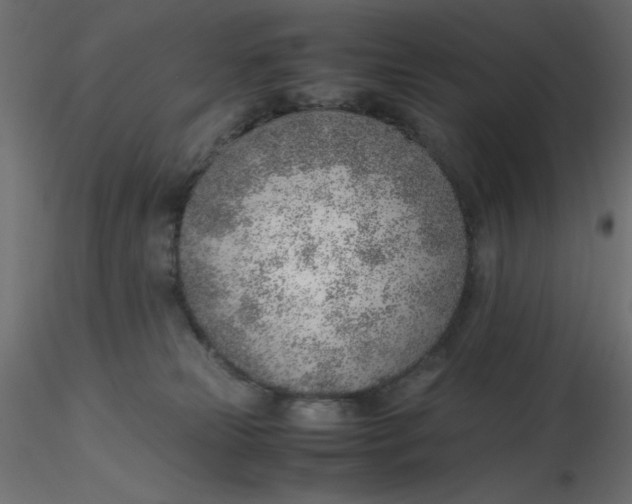 X0000116620181200912312146