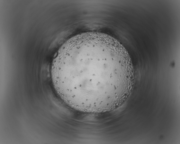 X0000116620182200912312146