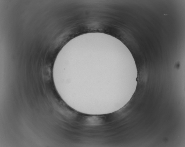 X0000116620183200912312146