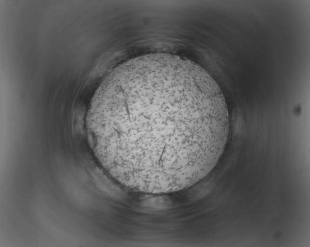 X0000116620185200912312146