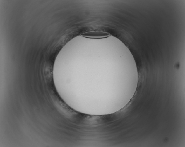 X0000116620186200912312146