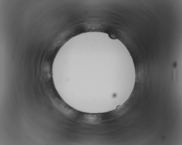 X0000116620187200912312146