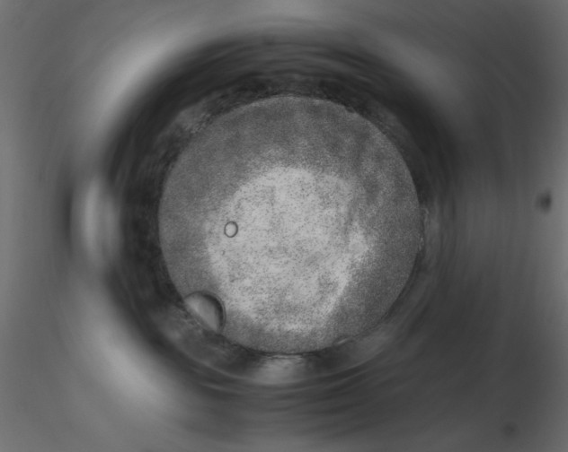 X0000116620189200912312146