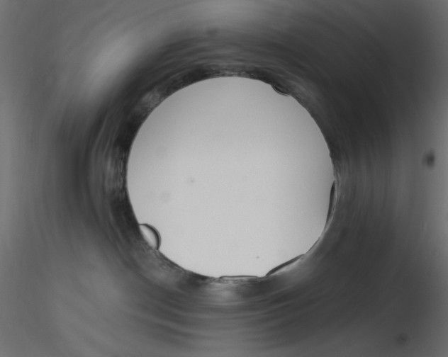 X0000116620190200912312146