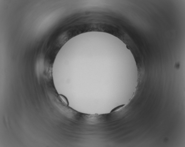 X0000116620191200912312146