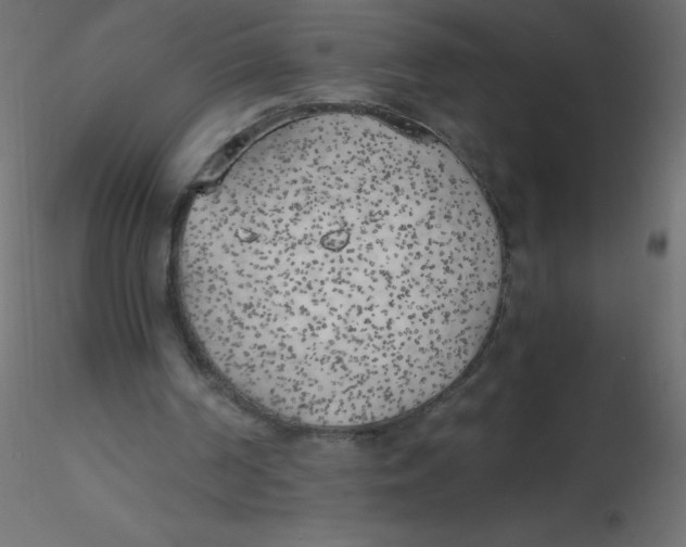 X0000116620194200912312146