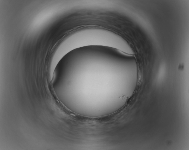 X0000116620195200912312146