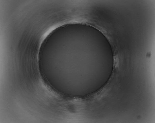 X0000116620196200912312146