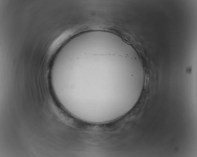 X0000116620197200912312146