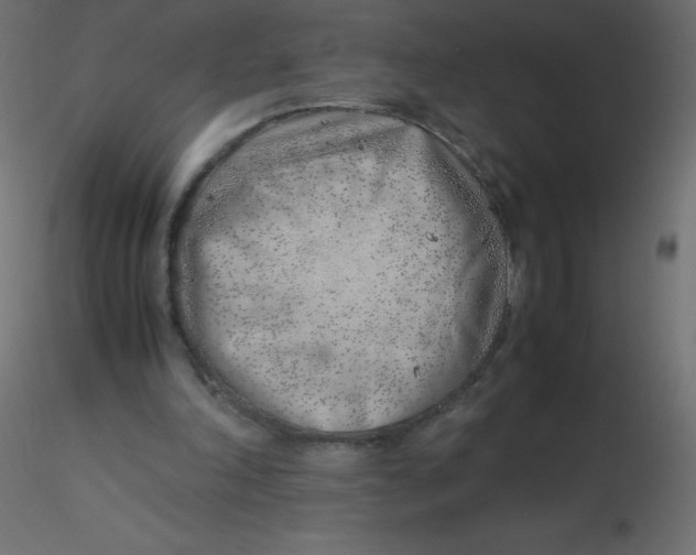 X0000116620198200912312146