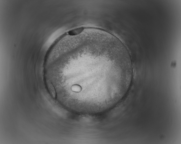 X0000116620199200912312146