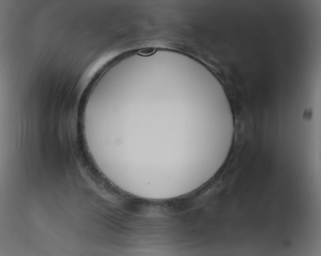 X0000116620200200912312146