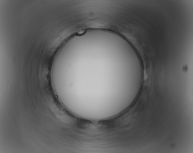 X0000116620201200912312146