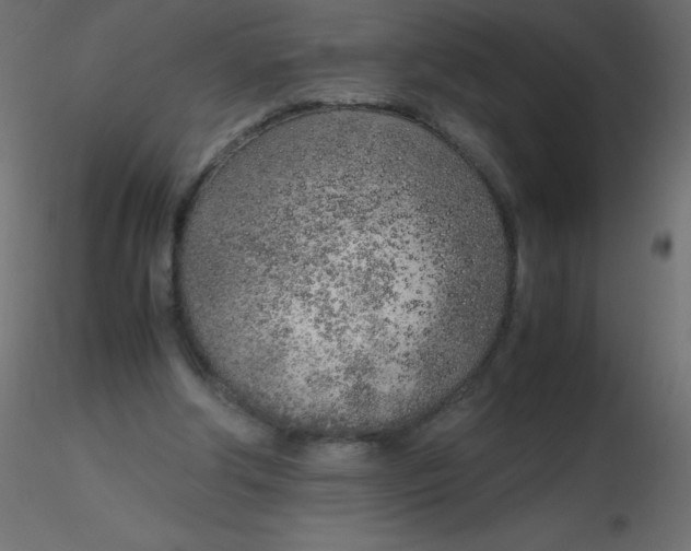 X0000116620202200912312146