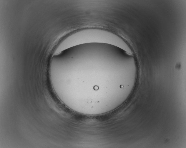 X0000116620203200912312146