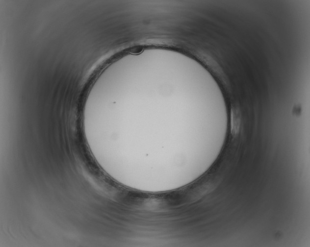 X0000116620204200912312146