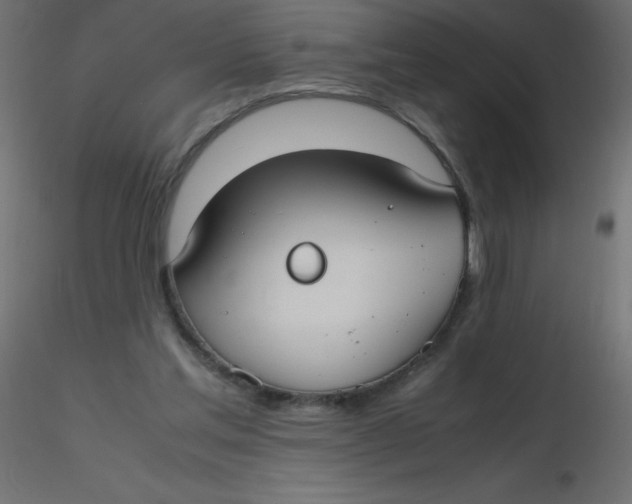 X0000116620205200912312146