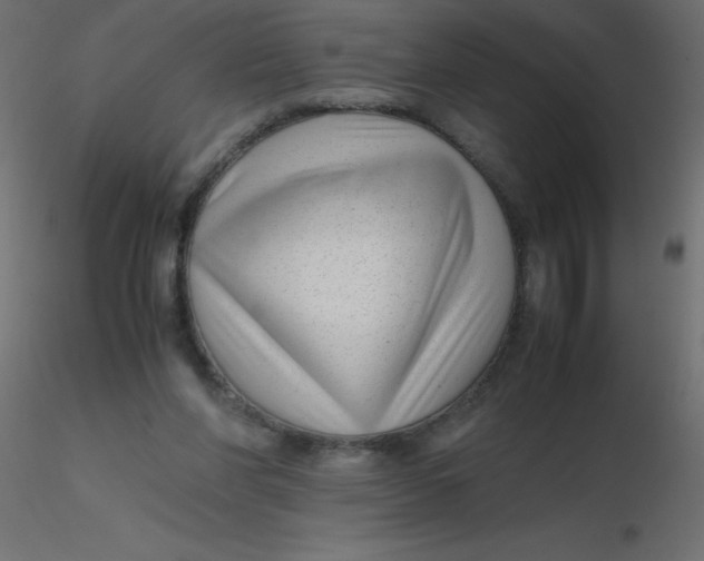 X0000116620206200912312146