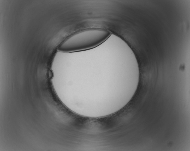 X0000116620207200912312146