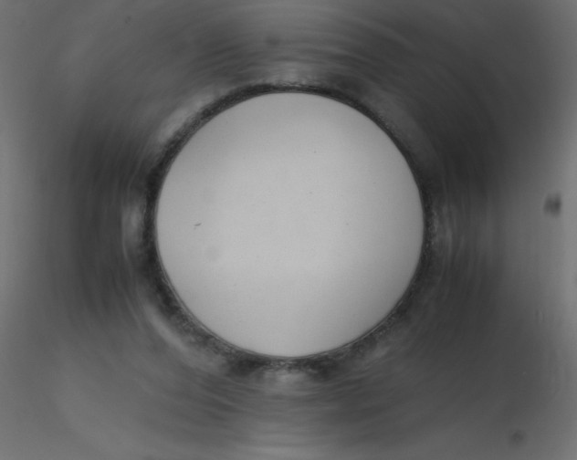 X0000116620208200912312146