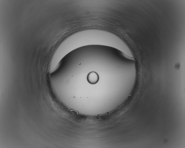 X0000116620209200912312146