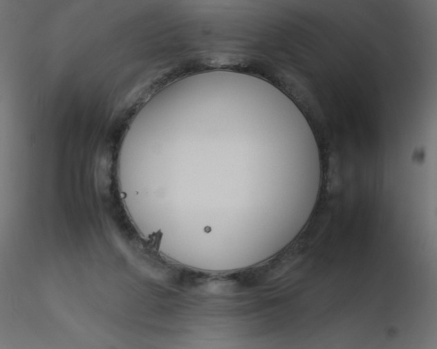 X0000116620210200912312146