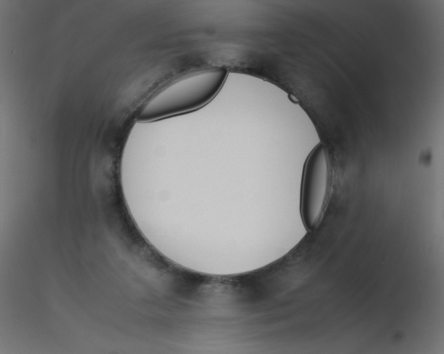 X0000116620211200912312146