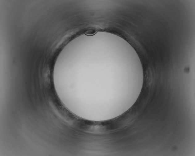 X0000116620212200912312146