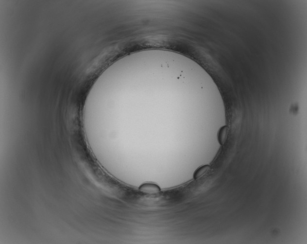 X0000116620213200912312146