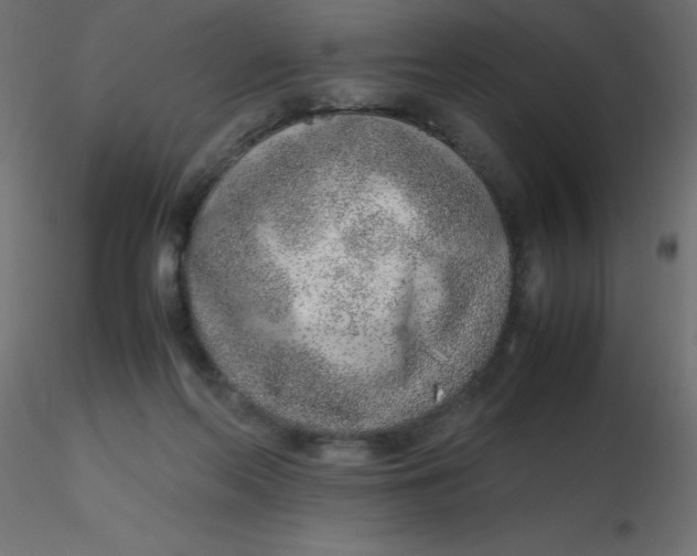 X0000116620214200912312145