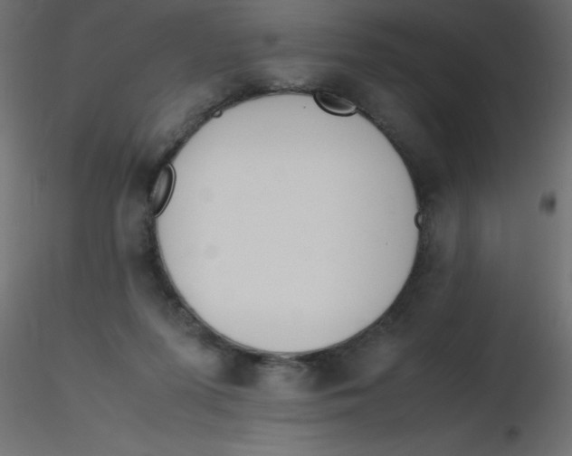 X0000116620215200912312145