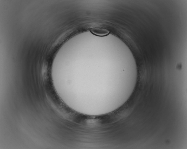 X0000116620216200912312145