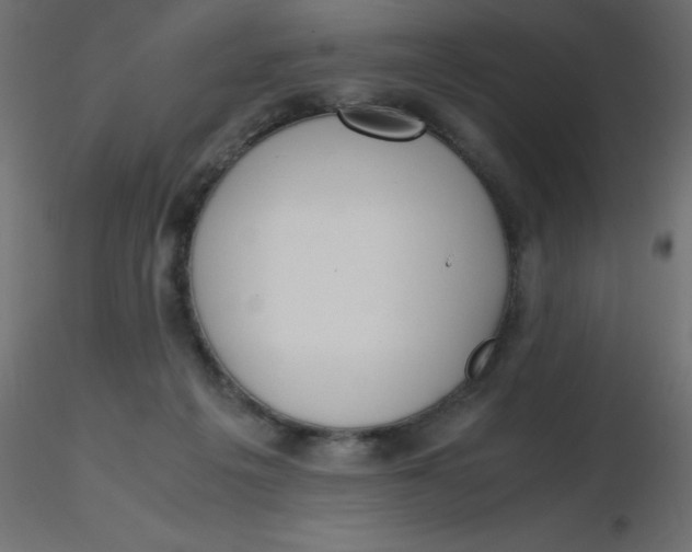 X0000116620217200912312145