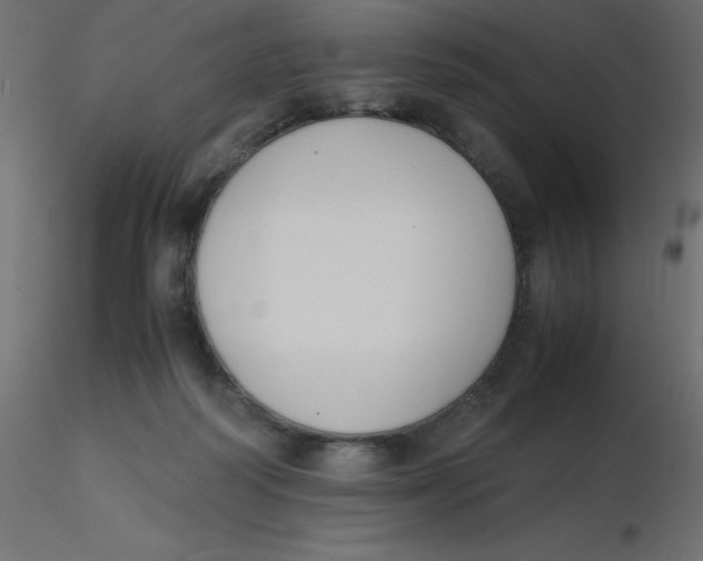 X0000116620218200912312145